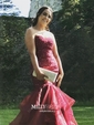 Trumpet/Mermaid Sweetheart Organza Floor-length Appliques Lace Prom Dresses