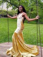 Trumpet/Mermaid V-neck Velvet Sweep Train Appliques Lace Prom Dresses
