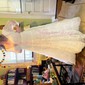 Ball Gown V-neck Lace Sweep Train Wedding Dresses With Sashes / Ribbons