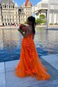 Ball Gown/Princess Sweep Train Sweetheart Tulle Appliques Lace Prom Dresses