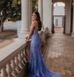 Trumpet/Mermaid Sweetheart Tulle Sweep Train Prom Dresses With Appliques Lace