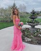 Sheath/Column Sweep Train Sweetheart Tulle Appliques Lace Prom Dresses