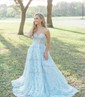 Ball Gown/Princess Sweep Train Sweetheart Lace Appliques Lace Prom Dresses