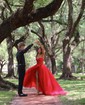 Ball Gown/Princess Sweetheart Tulle Sweep Train Prom Dresses With Appliques Lace