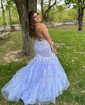 Trumpet/Mermaid V-neck Glitter Sweep Train Prom Dresses With Appliques Lace