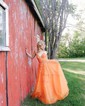 Ball Gown/Princess V-neck Tulle Sweep Train Prom Dresses With Appliques Lace