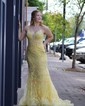 Trumpet/Mermaid V-neck Tulle Sweep Train Prom Dresses With Appliques Lace