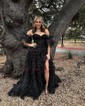 Ball Gown/Princess Sweetheart Glitter Sweep Train Prom Dresses With Appliques Lace