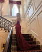 Trumpet/Mermaid V-neck Velvet Sequins Sweep Train Prom Dresses