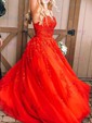 Ball Gown/Princess Floor-length V-neck Tulle Glitter Appliques Lace Prom Dresses