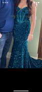 Trumpet/Mermaid Sweep Train Sweetheart Velvet Sequins Prom Dresses