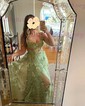 Ball Gown/Princess V-neck Tulle Sweep Train Prom Dresses With Sashes / Ribbons