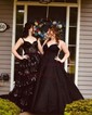 Ball Gown V-neck Lace Tulle Sweep Train Appliques Lace Prom Dresses