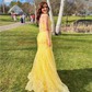 Mermaid V-neck Lace Corset Prom Dresses With Appliques
