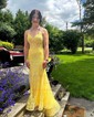 Mermaid V-neck Lace Corset Prom Dresses With Appliques