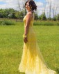 Mermaid V-neck Lace Corset Prom Dresses With Appliques