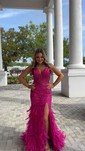 Trumpet/Mermaid V-neck Tulle Sweep Train Prom Dresses With Appliques Lace