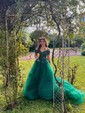 Ball Gown Off-the-shoulder Tulle Prom Dresses With Appliques