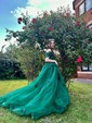 Ball Gown Off-the-shoulder Tulle Prom Dresses With Appliques