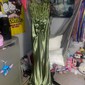 Mermaid Satin Corset Prom Dresses with Appliques
