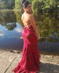 Trumpet/Mermaid V-neck Tulle Sweep Train Prom Dresses With Sequins