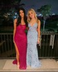 Trumpet/Mermaid V-neck Tulle Sweep Train Prom Dresses With Sequins