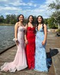 Trumpet/Mermaid V-neck Tulle Sweep Train Prom Dresses With Sequins