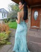 Sheath/Column V-neck Tulle Prom Dresses With Appliques