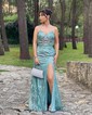 Sheath/Column V-neck Tulle Prom Dresses With Appliques