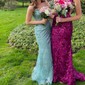 Sheath/Column V-neck Tulle Prom Dresses With Appliques