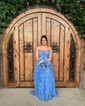 Ball Gown Strapless Chiffon Ruffle Tiered Prom Dresses