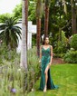 Sheath/Column V-neck Ruched Jersey Prom Dresses With Appliques