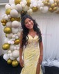 Mermaid V-neck Tulle Corset Prom Dresses With Appliques