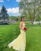 Mermaid V-neck Tulle Corset Prom Dresses With Appliques