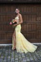 Mermaid V-neck Tulle Corset Prom Dresses With Appliques