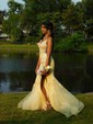 Mermaid V-neck Tulle Corset Prom Dresses With Appliques