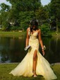 Mermaid V-neck Tulle Corset Prom Dresses With Appliques