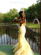 Mermaid V-neck Tulle Corset Prom Dresses With Appliques